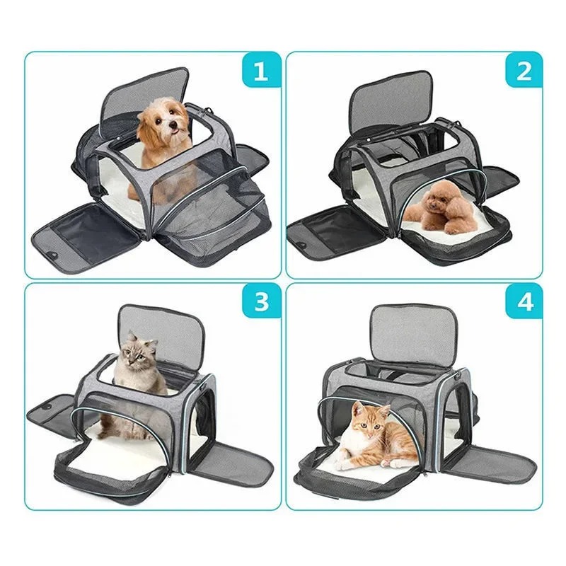 Portable Breathable Foldable P - Foldable Backpack Small 评论和价格